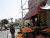 sinai , refah 075.jpg