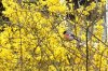 FrÃ¼hling 0111.JPG