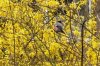 FrÃ¼hling 0112.JPG