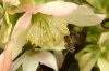 FrÃ¼hling 0123.JPG
