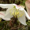 FrÃ¼hling 0124.JPG