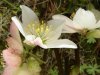 FrÃ¼hling 0125.JPG