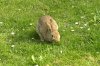 FrÃ¼hling 0117.JPG