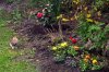 April 9a 001 500X333.jpg
