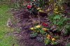 April 9a 002 500X333.jpg