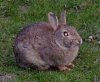 FrÃ¼hling 0126.JPG