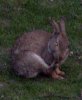 FrÃ¼hling 0127.JPG