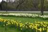 FrÃ¼hling 0141.JPG
