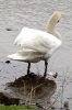 FrÃ¼hling 0146.jpg