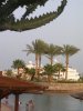 besuch, arisch, hurgada 074.jpg