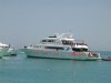 elsahel 2005,hurgada 2 083.jpg
