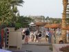 besuch, arisch, hurgada 068.jpg