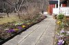 garten.jpg