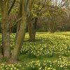 FrÃ¼hling 0158.JPG