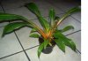 PICT0290.JPG
