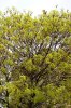 FrÃ¼hling 0167.JPG