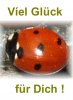 GlÃ¼ckwunsch MarienkÃ¤fer 2.jpg