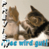 575627.gif