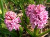Resize of 20060506 010.jpg