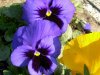 Resize of 20060506 011.jpg
