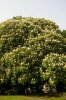 FrÃ¼hling 0216.JPG