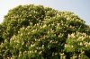 FrÃ¼hling 0218.JPG