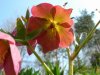Resize of 20060506 020.jpg