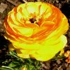 FrÃ¼hling 0233.JPG