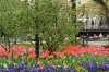 FrÃ¼hling 0240.JPG