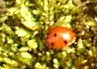April 9d 002.JPG
