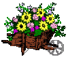 n_blu081 blumenkarren.gif