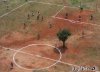 baum-auf-dem-fussballplatz.jpg