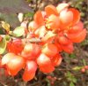FrÃ¼hling 0327.JPG