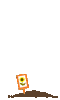 Blume00117.gif