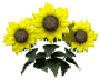blumen-3 soblu.gif