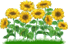 blumen-soblubeet.gif