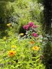 garten5a.jpg
