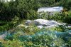 garten25.08.jpg