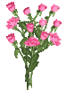 blume_02.gif