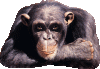 att00536.gif