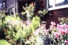 web. garten 1).jpg