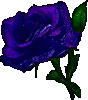 blaue rose mit glimmer.gif