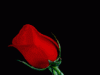 misc69d.gif