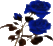 aa1.gif