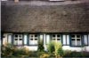 web.haus in usedom.jpg