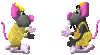 knubbelklani.gif