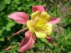 DSCN3189.JPG