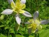 DSCN3191.JPG