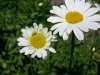DSCN3186.JPG