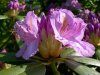 DSCN3185.JPG